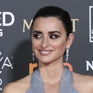 Penélope Cruz lors de la 33e cérémonie des Goya, récompenses du cinéma espagnol à Séville, le 2 février 2019