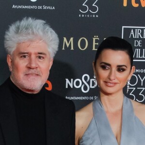 Pedro Almodovar et Penélope Cruz lors de la 33e cérémonie des Goya, récompenses du cinéma espagnol à Séville, le 2 février 2019