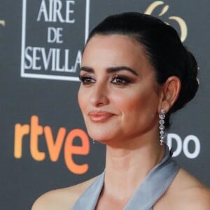 Penélope Cruz lors de la 33e cérémonie des Goya, récompenses du cinéma espagnol à Séville, le 2 février 2019