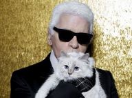 Mort de Karl Lagerfeld : sa chatte Choupette, orpheline, a une nouvelle maman !