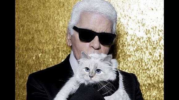 Mort de Karl Lagerfeld : sa chatte Choupette, orpheline, a une nouvelle maman !