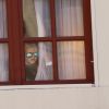 Le prince héréditaire Jacques de Monaco observe discrètement par la fenêtre du palais la cérémonie protocolaire de bienvenue lors de l'arrivée du président chinois Xi Jinping, accueilli à Monaco par le prince Albert et la princesse Charlene le 24 mars 2019. © JC Vinaj/Pool/ Bestimage