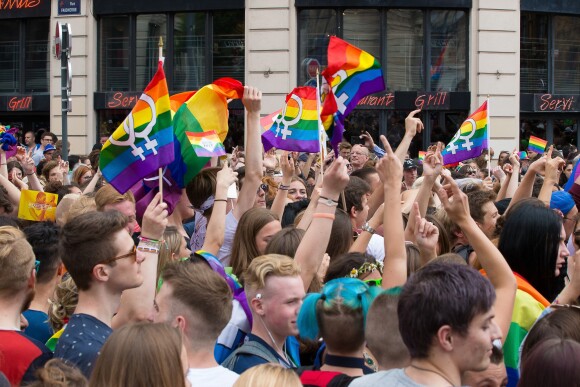 Image du défilé de la Gay Pride à Lille, le 3 juin 2017. © Stéphane Vansteenkiste/Bestimage