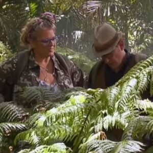 Premières images de l'émission Je suis une célébrité, Sortez moi de là ! diffusée le 9 juillet 2019 à 21 heures.