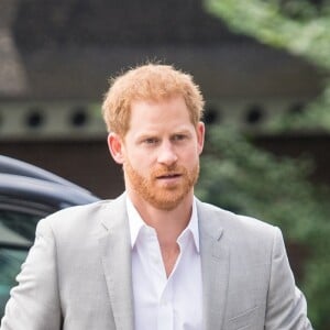 Le prince Harry, duc de Sussex, présentait le 3 septembre 2019 à Amsterdam aux Pays-Bas Travalyst, un partenariat entre des opérateurs digitaux du monde du tourisme pour développer des pratiques durables, respectueuses de l'environnement et profitables aux communautés locales.