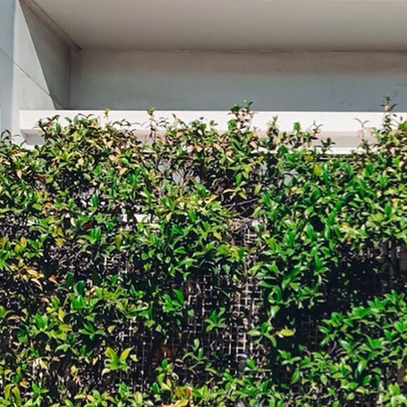 Christina Milian prend la pose sur Instagram.
