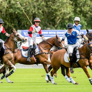 Le prince Harry et le prince William lors d'un match de polo de bienfaisance à Wokinghan, dans le Berkshire, le 10 juillet 2019.