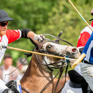 Le prince Harry et le prince William lors d'un match de polo de bienfaisance à Wokinghan, dans le Berkshire, le 10 juillet 2019.