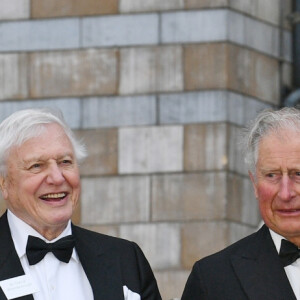 Le prince William et le prince Harry avec leur père le prince Charles et Sir David Attenborough à la première de la série Netflix "Our Planet" au Musée d'Histoire naturelle à Londres le 4 avril 2019.