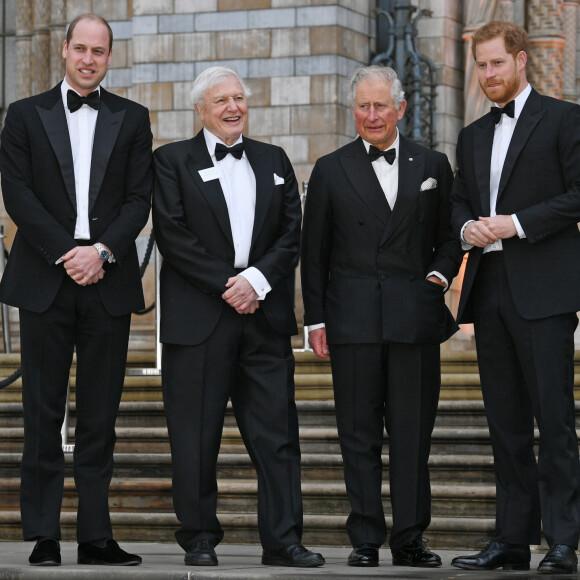 Le prince William et le prince Harry avec leur père le prince Charles et Sir David Attenborough à la première de la série Netflix "Our Planet" au Musée d'Histoire naturelle à Londres le 4 avril 2019.