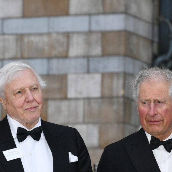 Le prince William et le prince Harry avec leur père le prince Charles et Sir David Attenborough à la première de la série Netflix "Our Planet" au Musée d'Histoire naturelle à Londres le 4 avril 2019.