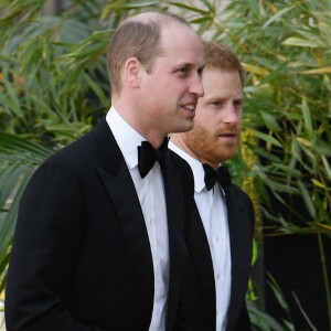 Le prince William et le prince Harry à la première de la série Netflix "Our Planet" au Musée d'Histoire naturelle à Londres le 4 avril 2019.