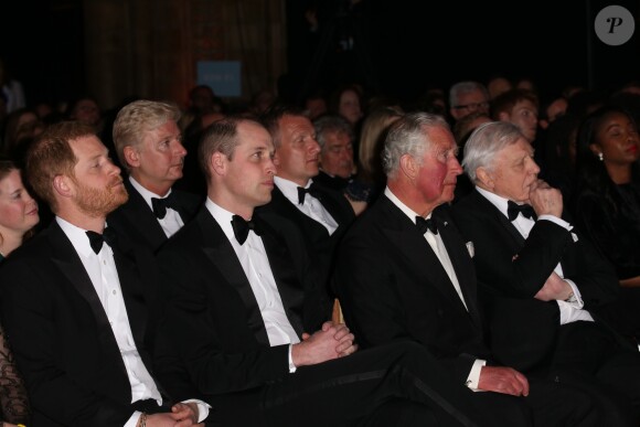 Le prince William et le prince Harry avec leur père le prince Charles et Sir David Attenborough à la première de la série Netflix "Our Planet" au Musée d'Histoire naturelle à Londres le 4 avril 2019.