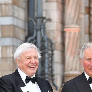 Le prince William et le prince Harry avec leur père le prince Charles et Sir David Attenborough à la première de la série Netflix "Our Planet" au Musée d'Histoire naturelle à Londres le 4 avril 2019.