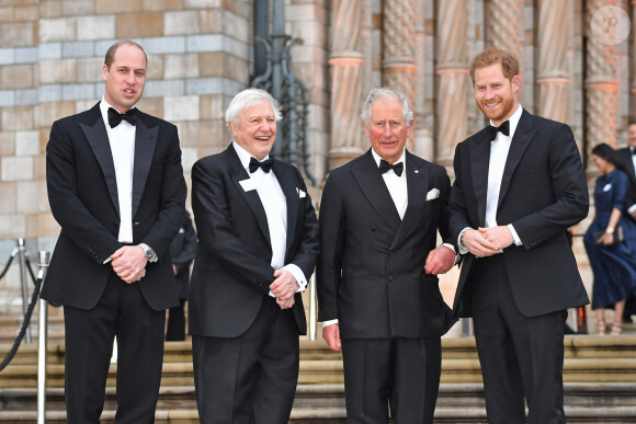Le prince William et le prince Harry avec leur père le prince Charles et Sir David Attenborough à la première de la série Netflix "Our Planet" au Musée d'Histoire naturelle à Londres le 4 avril 2019.