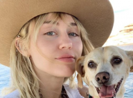 Miley Cyrus tacle durement son ex Liam Hemsworth : "Les hommes sont maléfiques"