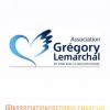 Karine Ferri soutient l'association Grégory Lemarchal en stories Instagram, le lundi 28 octobre 2019.