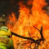 Incendies en Australie, le 7 janvier 2020. © Imago/Panoramic/Bestimage