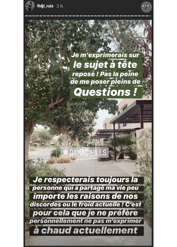 Fidji Ruiz et Dylan Thiry alimentent les rumeurs de séparation sur Instagram - 11 février 2020