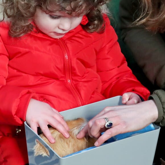 Kate Middleton, duchesse de Cambridge, lors d'une visite à The Ark Open Farm à Newtownards, Irlande, le 12 février 2020.