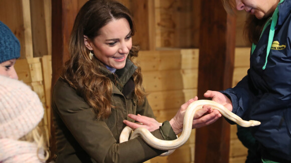 Kate Middleton intrépide en Irlande : sa rencontre avec un serpent