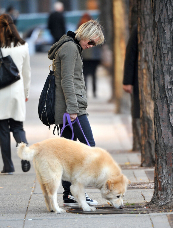 Renée Zellweger et son chien Dylan à Los Angeles en 2010.