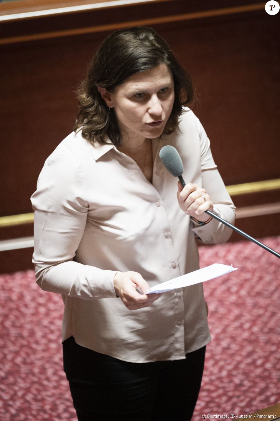 Roxana Maracineanu Ministre Des Sports Séance De Questions Au Gouvernement Au Sénat à Paris 5724