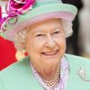 Info du 21 mars 2020 - Un employé de Buckingham Palace testé positif au Coronavirus alors que la reine était toujours à Londres - Info - Le 9 septembre, la reine Elizabeth II doit battre le record de longévité sur le trône britannique détenu par son arrière arrière-grand-mère la reine Victoria - La reine Elisabeth II d'Angleterre inaugure le nouveau centre sportif de l'école Westminster à Londres, le 12 juin 2014. La reine a assisté à des démonstrations de sports comme le yoga, le cricket et le ping-pong avant de dévoiler une plaque commémorative.