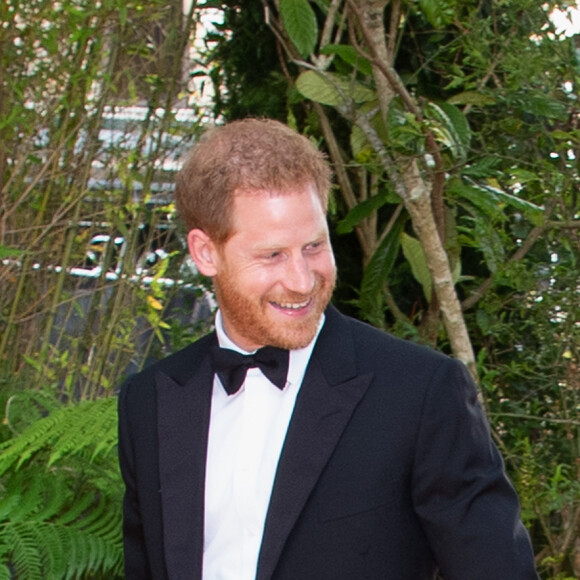 Le prince Harry, duc de Sussex, et Meghan Markle, à la première du film "Le Roi Lion" au cinéma Odeon Luxe Leicester Square à Londres, le 14 juillet 2019. La robe Jason Wu de la duchesse est estimée à 2150 euros.