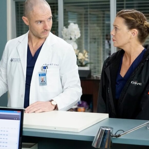 Richard Flood (Dr Hayes) Ellen Pompeo (Dr Meredith Grey) dans la saison 16 de "Grey's Anatomy".