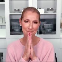 Céline Dion : Message d'émotion depuis sa cuisine et adieu les Vieilles Charrues