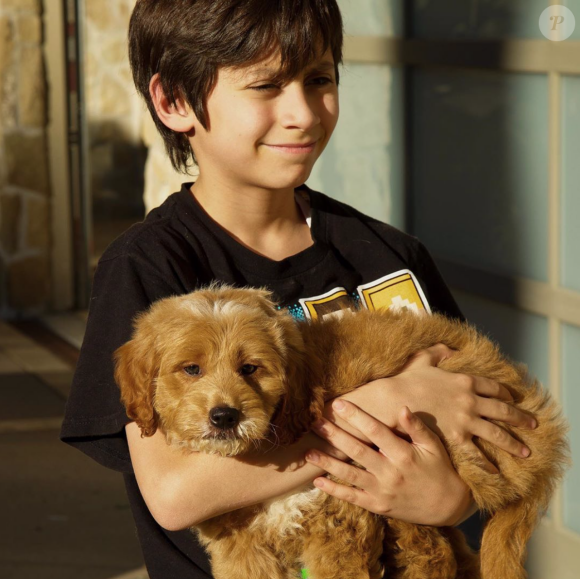 Jennifer Lopez a offert à son fils Max cet adorable labradoodle, croisement entre un labradore et un caniche. Juin 2020.