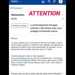 Sarah Frasou dénonce une arnaque sur Snapchat, le 7 juillet 2020