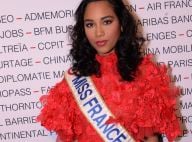 Clémence Botino, son immeuble en feu : Miss France a failli sauter dans le vide
