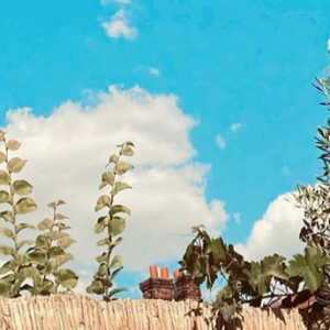 Vitaa et son fils Adam. Juillet 2020.