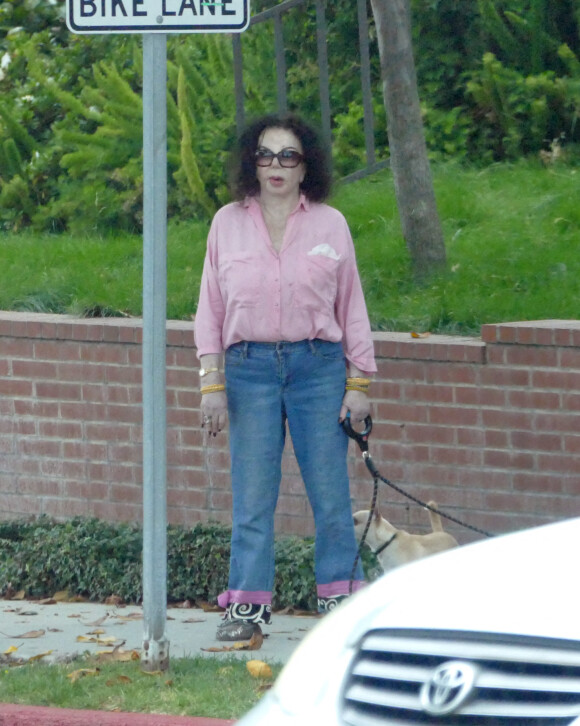 Exclusif - Jackie Stallone, la mère de Sylvester, sort ses chiens dans la rue à Los Angeles le 14 juin 2019.
