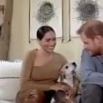 Le prince Harry, Meghan Markle et leur chien Guy lors d'une interview virtuelle avec le journal "Evening Standard", le 1er octobre 2020.