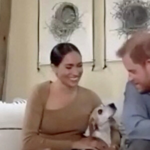 Le prince Harry, Meghan Markle et leur chien Guy lors d'une interview virtuelle avec le journal "Evening Standard", le 1er octobre 2020.