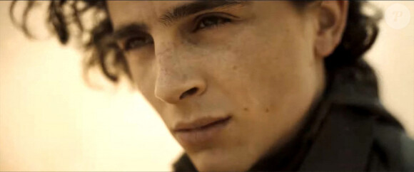 Timothée Chalamet à l'affiche du film "Dune" de D. Villeneuve dont la sortie sur les écrans français est reportée.
