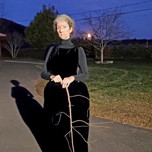Céline Dion transformée en Nanny McPhee pour Halloween.