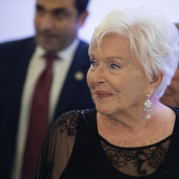 Line Renaud - Le président de la République française participe au dîner annuel du Conseil de Coordination des organisations Arméniennes de France (CCAF), à l'Hôtel du Collectionneur à Paris, France, le 29 janvier 2020. © Eliot Blondet/Pool/Bestimage 