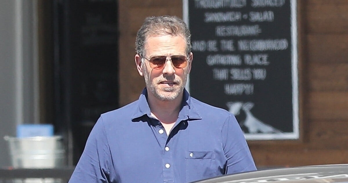 Hunter Biden Le fils du président a été en couple avec la veuve de son frère Beau Purepeople