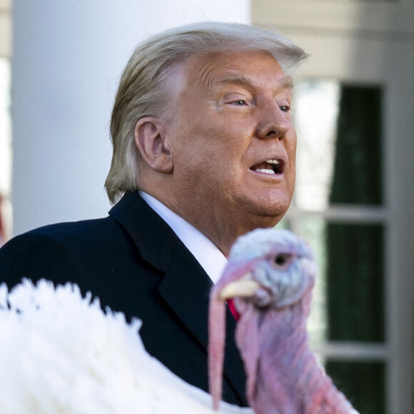 Le président des Etats-Unis Donald Trump gracie, en compagnie de la première dame Melania Trump, la dinde "Corn" lors de la traditionnelle grâce présidentielle avant la fête de Thanksgiving à la Maison-Blanche. Washington, le 24 novembre 2020.