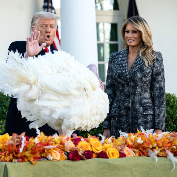 Le président des Etats-Unis Donald Trump gracie, en compagnie de la première dame Melania Trump, la dinde "Corn" lors de la traditionnelle grâce présidentielle avant la fête de Thanksgiving à la Maison-Blanche. Washington, le 24 novembre 2020.