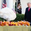 Le président des Etats-Unis Donald Trump gracie, en compagnie de la première dame Melania Trump, la dinde "Corn" lors de la traditionnelle grâce présidentielle avant la fête de Thanksgiving à la Maison-Blanche. Washington, le 24 novembre 2020.
