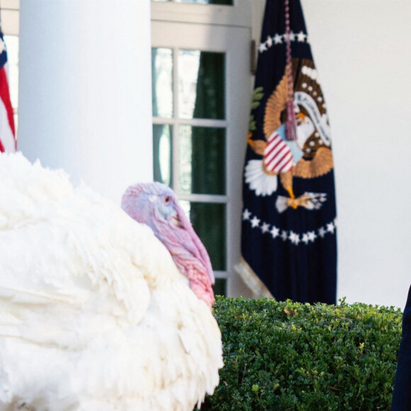 Le président des Etats-Unis Donald Trump gracie, en compagnie de la première dame Melania Trump, la dinde "Corn" lors de la traditionnelle grâce présidentielle avant la fête de Thanksgiving à la Maison-Blanche. Washington, le 24 novembre 2020.