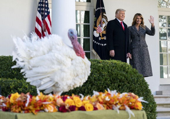 Le président des Etats-Unis Donald Trump gracie, en compagnie de la première dame Melania Trump, la dinde "Corn" lors de la traditionnelle grâce présidentielle avant la fête de Thanksgiving à la Maison-Blanche. Washington