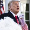 Le président des Etats-Unis Donald Trump gracie, en compagnie de la première dame Melania Trump, la dinde "Corn" lors de la traditionnelle grâce présidentielle avant la fête de Thanksgiving à la Maison-Blanche. Washington.