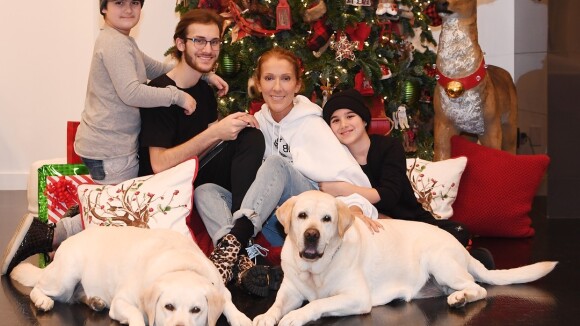 Céline Dion avec ses 3 fils pour Noël, René-Charles changé sans ses lunettes