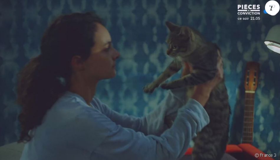 Static1 Purepeople Com Articles 6 42 18 56 La Mort D Un Chat Choque Dans Plus Bell 950x0 2 Jpg